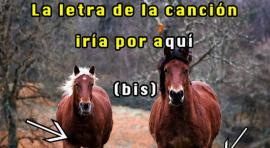 Foto Vivir en videoclip