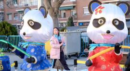 El Año Nuevo Chino del Cerdo