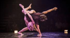 Humans ©Pedro Greig