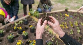 Jardín de Libros Nómadas, Solar Opañel, Lukasz Michalak