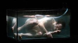 Le brain. Nicholas Minns