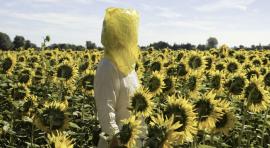 Fernán Gómez: Elina Brotherus