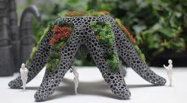 Las plantas también miran a las estrellas_María Castellanos y Alberto Valverde