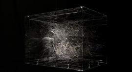 Toms Saraceno, Hybrid semi-social so