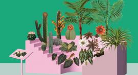 Studio Celine Baumann, Parliament of Plants