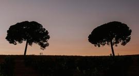 Muestra de Cine Rumano