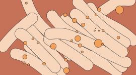 Diseño gráfico: Judit Musachs