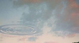 Sesión de Book Jockey