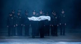 'Bros' de Castelucci