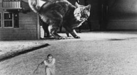 CLASICOS DE SIEMPRE Y BRASIL CINETECA