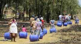 Hippo Roller, Rietfontein. Sudáfrica.