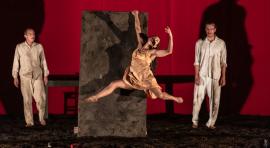 'La mirada del avestruz'. Foto de Carlos Mario Lema