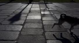 Cuatro retratos de Madrid desde la fotografía emergente latinoamericana