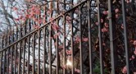 David Mocha presenta en CentroCentro su serie fotográfica El Paraíso