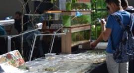 Los amantes de los reptiles tienen mañana una cita en el Pabellón de Cristal