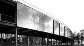 El Anillo, proyecto invitado en La casita azul