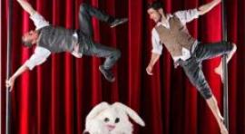 Circa regresa al Teatro Circo Price con ‘Beyond’