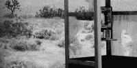 QUIET, TOO QUIET, BUT NOT SILENT. Rosa Casado y Mike Brookes. 