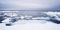 Carlos Casas, Hunters - ICE EDGE, Bering Strait, Lorino.