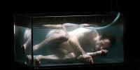 Le brain. Nicholas Minns