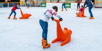 Pista de hielo de la Galería de Cristal 