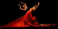 Carlos-Saura-Flamenco-India-2015-©-Carlos-Saura-VEGAP-2021
