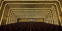 Cineteca Madrid