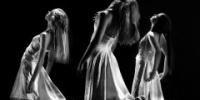 DanzaEñe, muestra de danza contemporánea organizada por Fundación SGAE