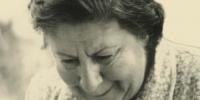 Un domingo de flamenco y poesía en el cumpleaños del Fernán Gómez 