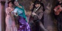 Flamenco Madrid