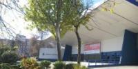 La Casa de Campo celebra el Día Universal de la Infancia