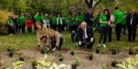 Tourism cares for Madrid 