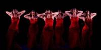 Flamenco Madrid 2016 llega al Fernán Gómez. CC de la Villa
