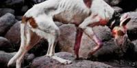 LANZADERA presenta el trabajo del fotógrafo Jesús Monterde