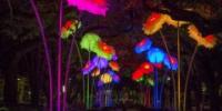 Decenas de propuestas artísticas y culturales inundan el eje Prado-Retiro con Luna de Octubre
