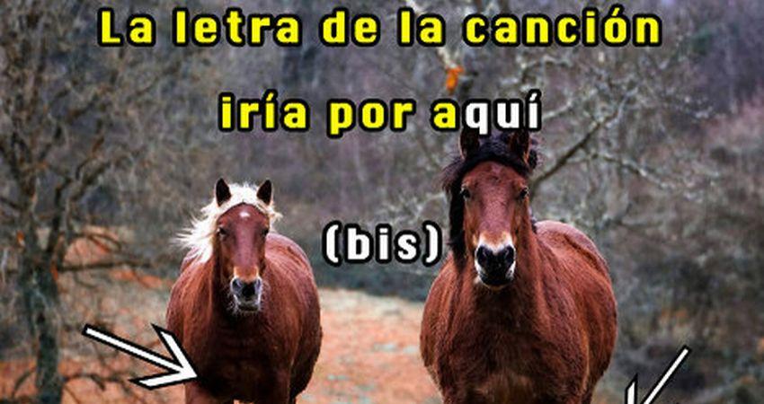 Foto Vivir en videoclip