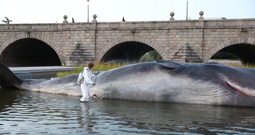 La escultura `Whale´ en el Manzanares