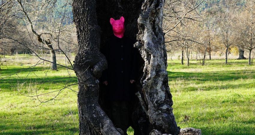 Perro callejero (c) Yu Depeng