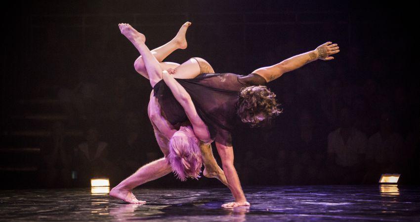 Humans ©Pedro Greig