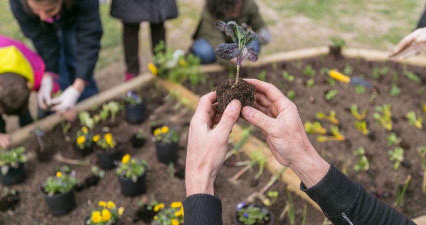 Jardín de Libros Nómadas, Solar Opañel, Lukasz Michalak