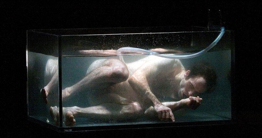 Le brain. Nicholas Minns