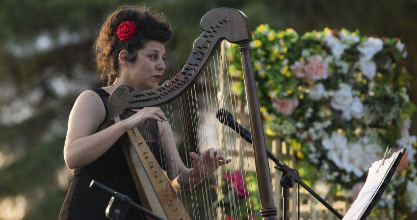 Concierto de arpa