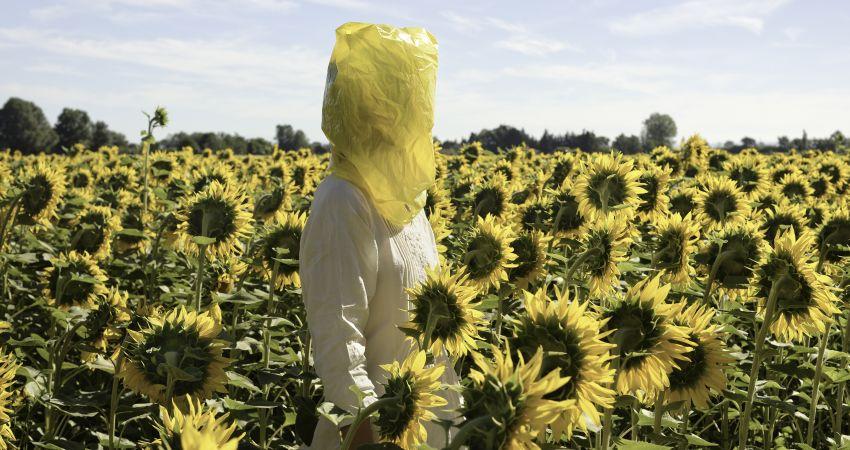 Fernán Gómez: Elina Brotherus