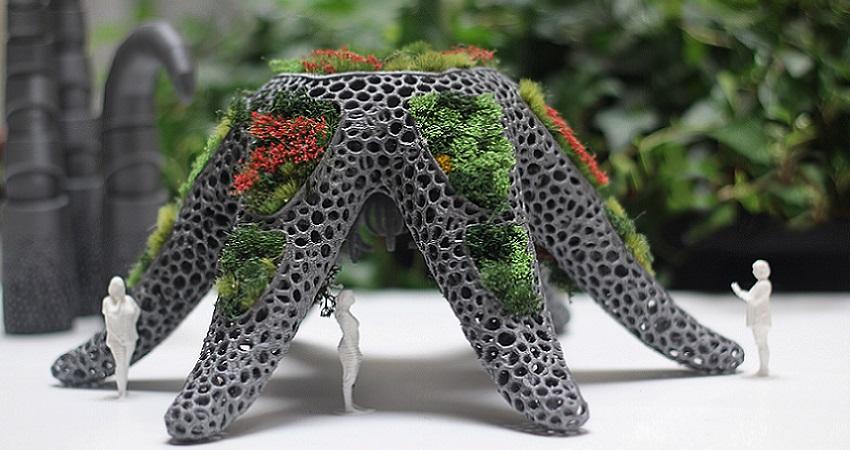 Las plantas también miran a las estrellas_María Castellanos y Alberto Valverde