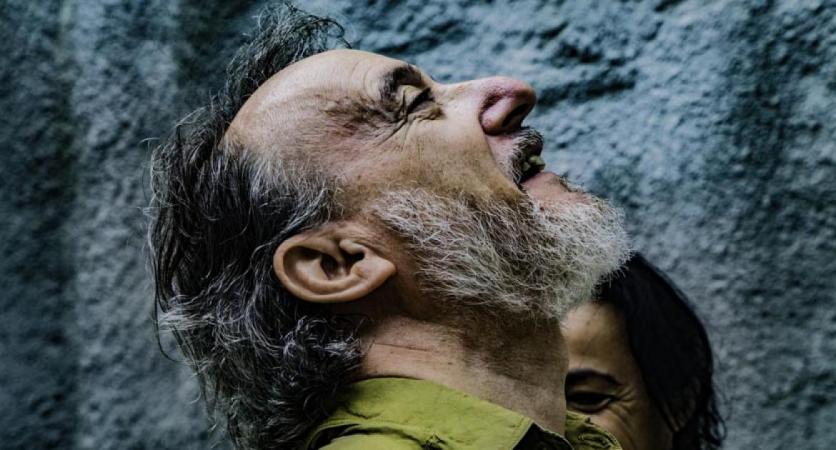 La espuma de los días, Teatro Español