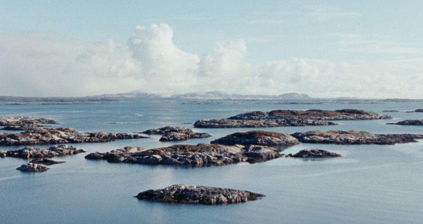 An Experiment in Leisure