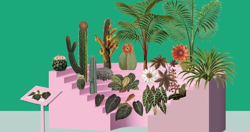 Studio Celine Baumann, Parliament of Plants