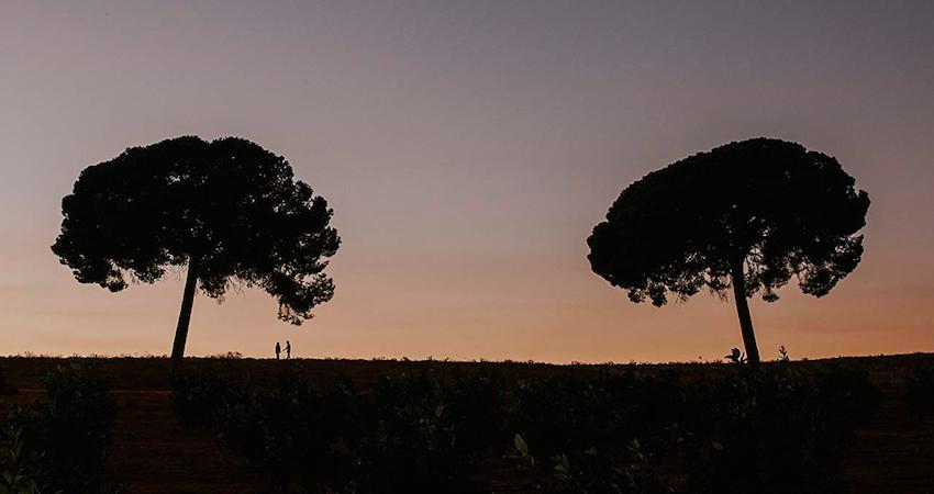 Muestra de Cine Rumano