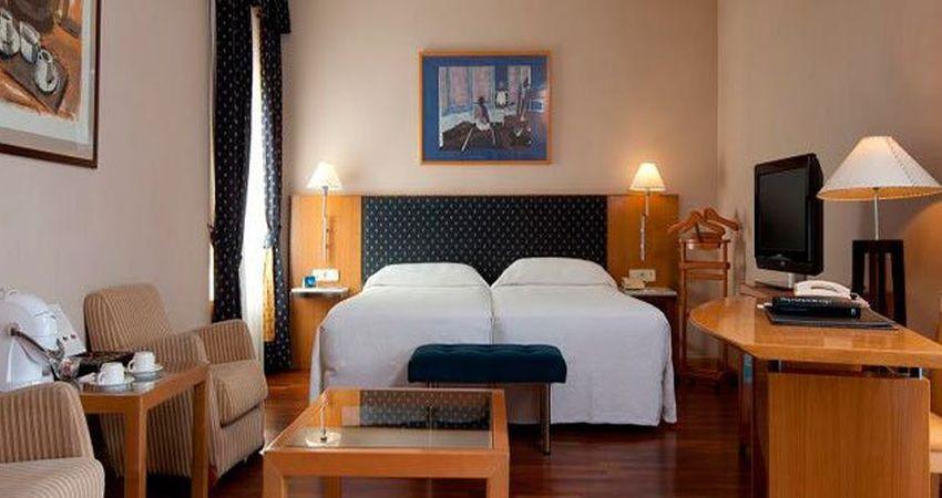 El Ayuntamiento de Madrid, consciente de las dificultades por las que atraviesa el sector hotelero, ha decidido seguir apoyándole para evitar que se cierren hoteles en nuestra ciudad.