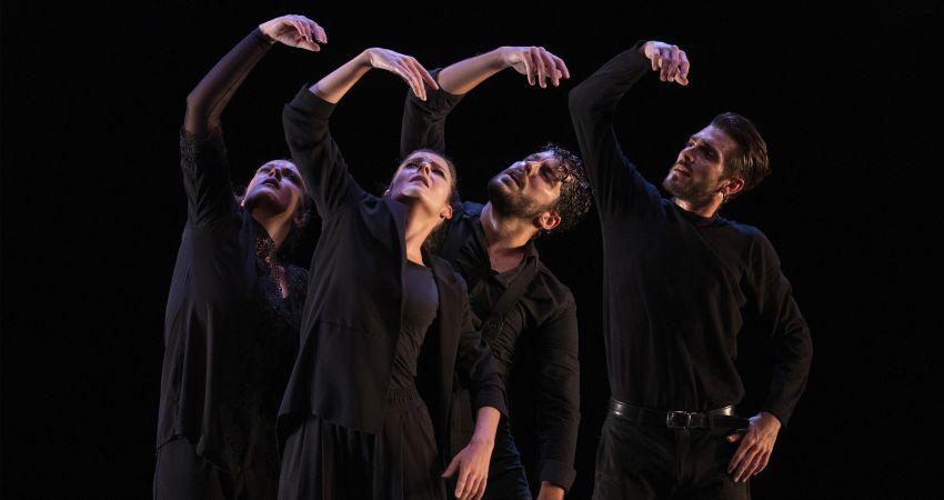 F.Alberto Sellés (Cardinal)